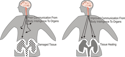 Body communication illustration