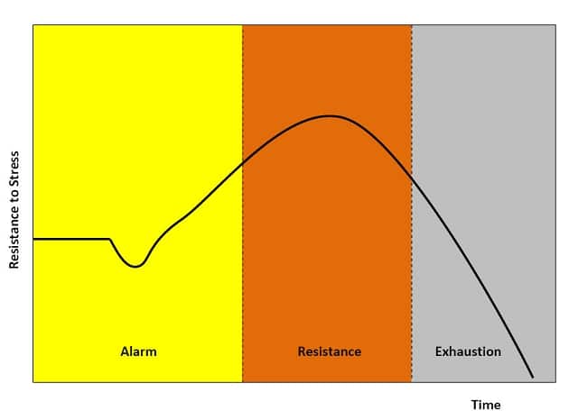 Stress Chart