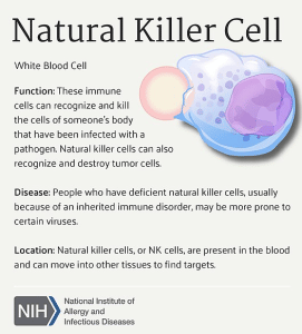 NK Cells